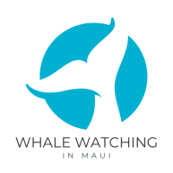 WhaleWatchingMaui